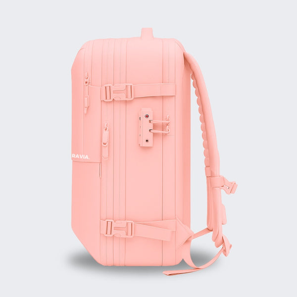 SAC DE VOYAGE AIR ORIGINAL - PÂLE