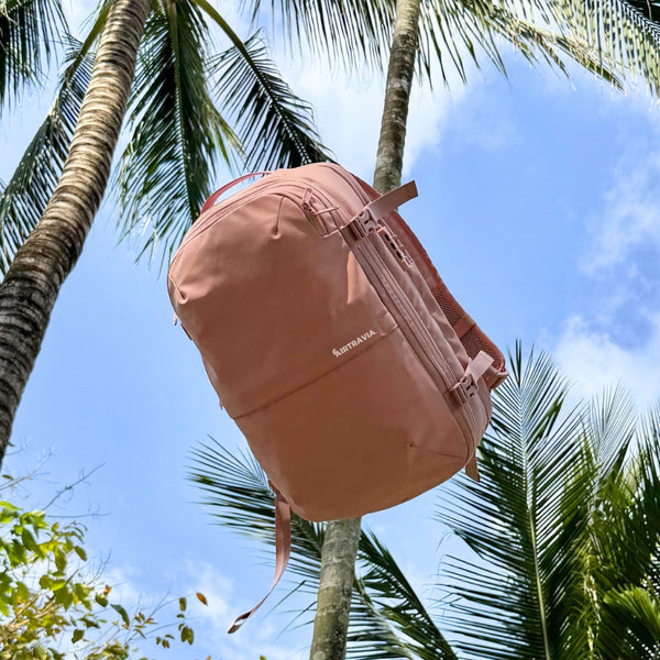 SAC DE VOYAGE AIR ORIGINAL - PÂLE